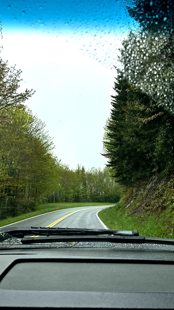 mckinley_1 image ~ Altpins