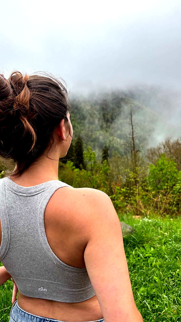 mckinley_1 image ~ Altpins