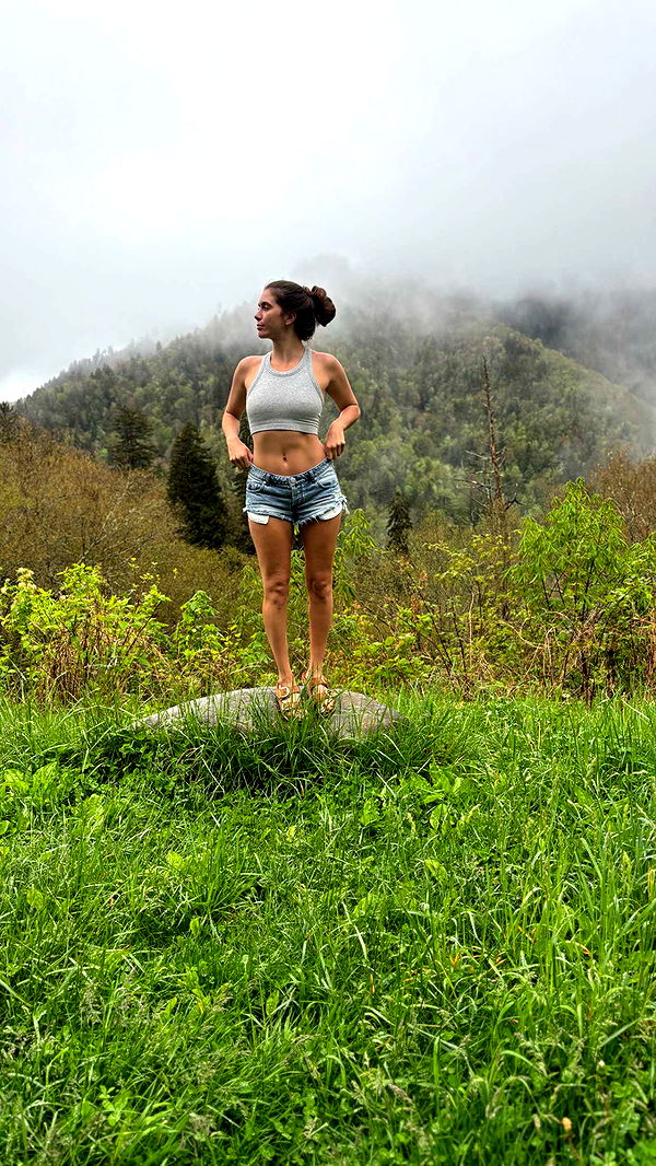 mckinley_1 image ~ Altpins