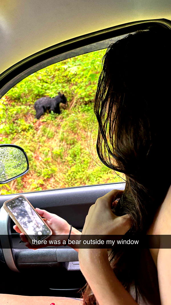 mckinley_1 image ~ Altpins