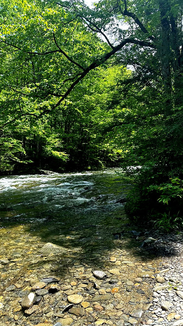 mckinley_1 image ~ Altpins