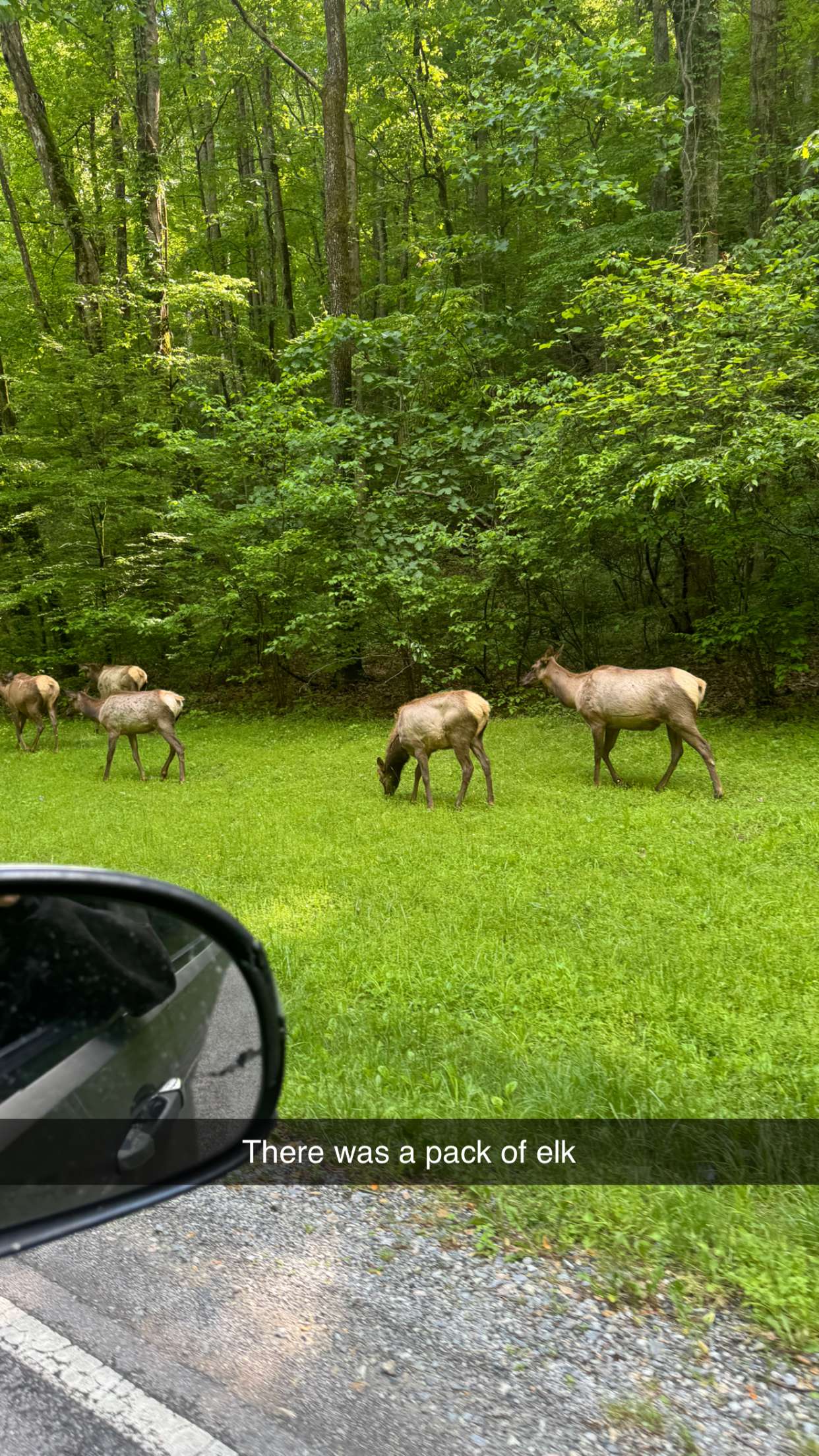 mckinley_1 snapchat image archive image