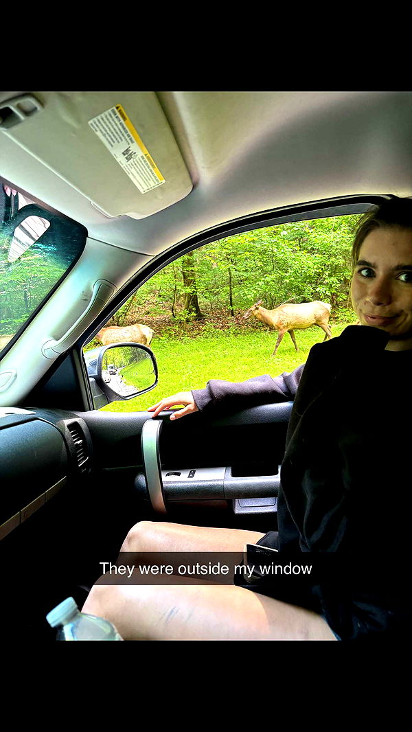 mckinley_1 image ~ Altpins