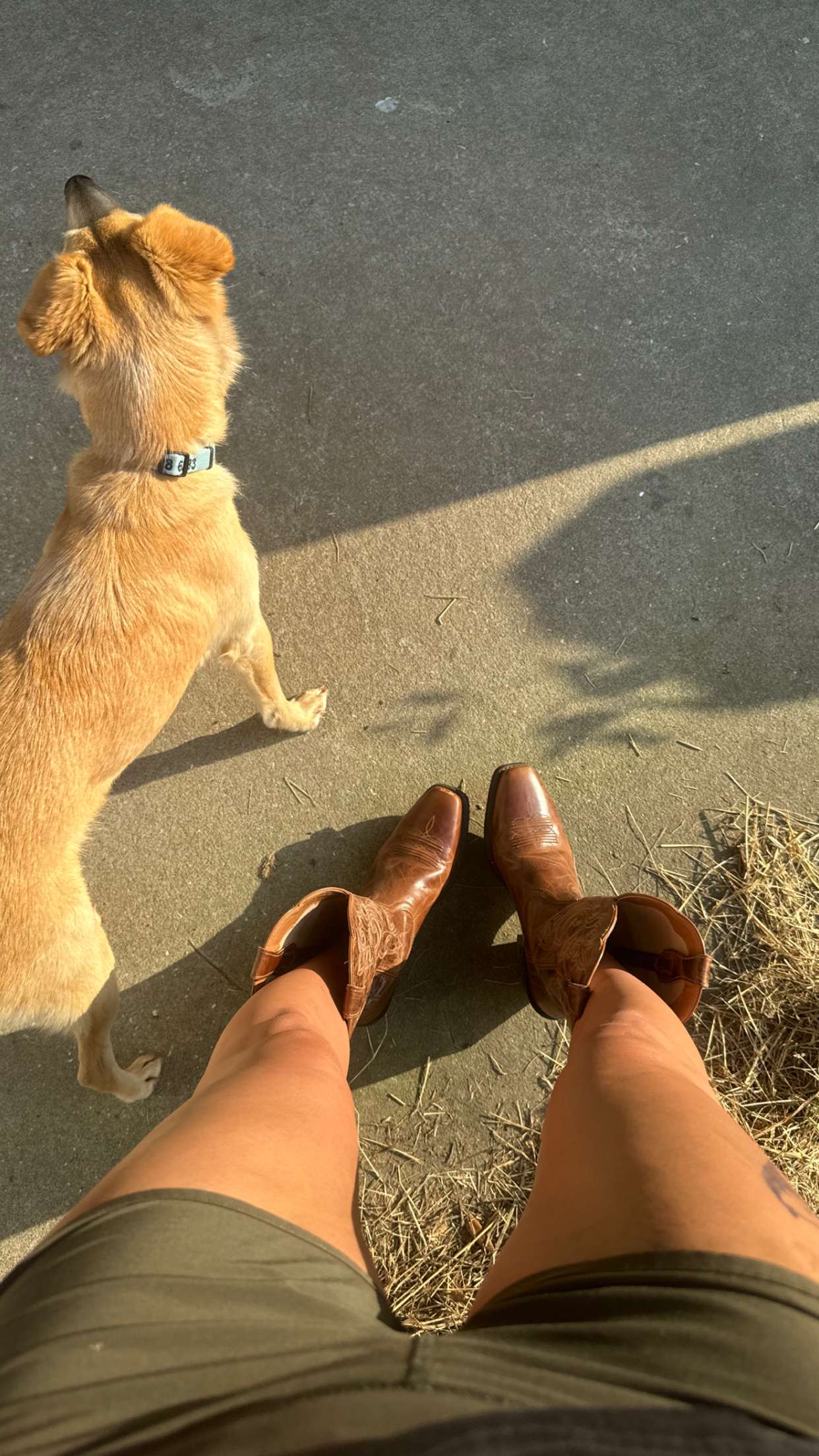 mckinley_1 snapchat image archive image