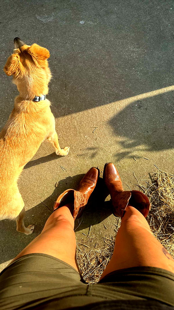 mckinley_1 image ~ Altpins