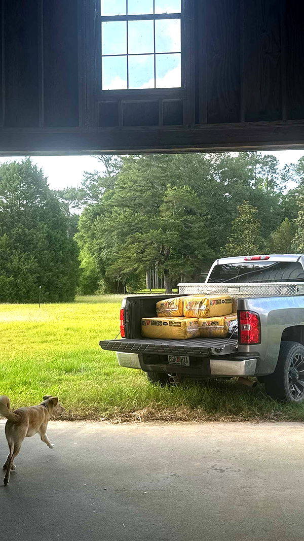 mckinley_1 image ~ Altpins