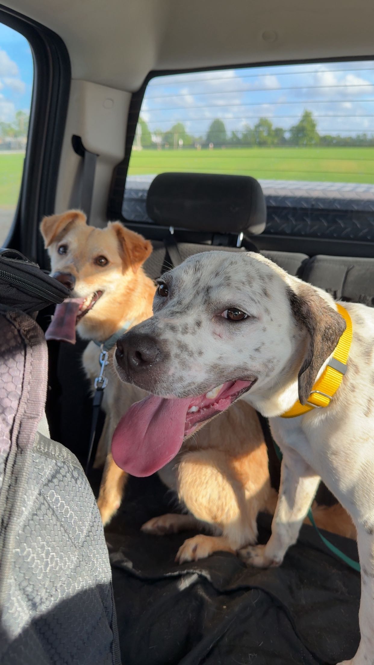 mckinley_1 snapchat image archive image