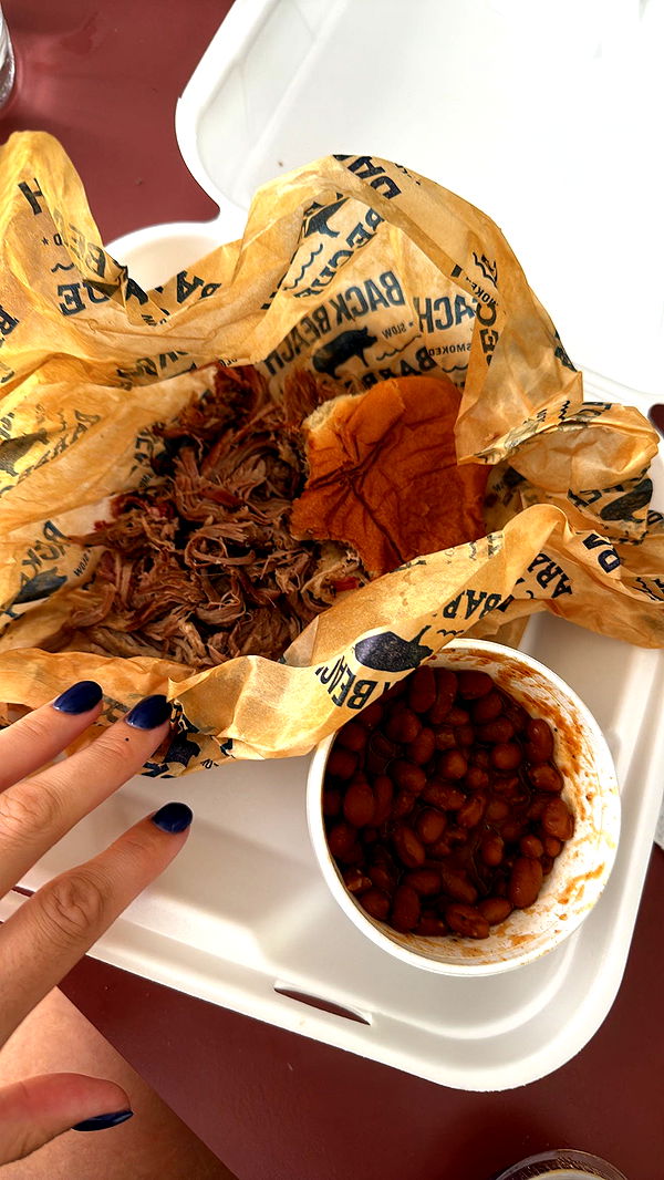 mckinley_1 image ~ Altpins