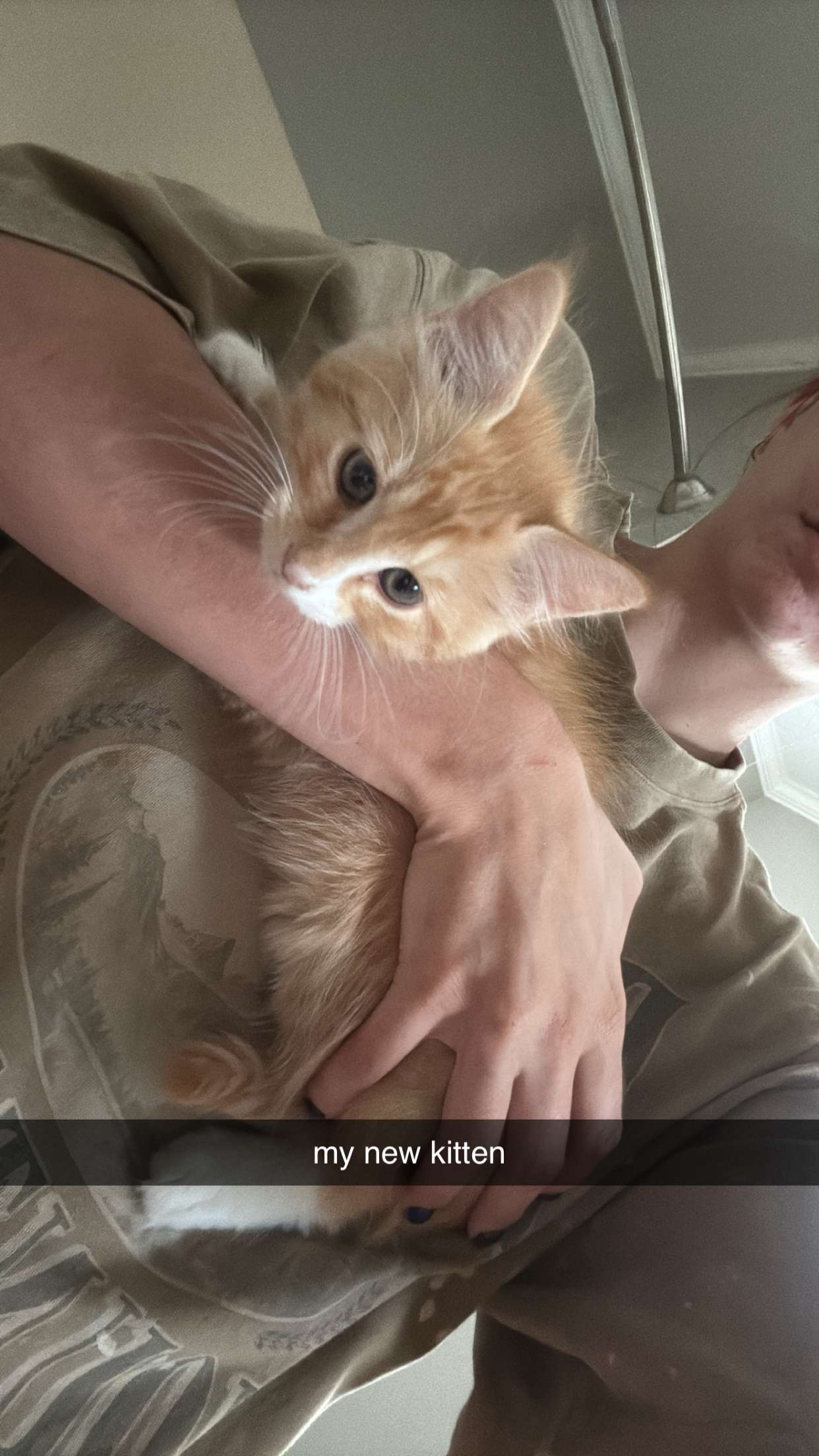 mckinley_1 snapchat image archive image