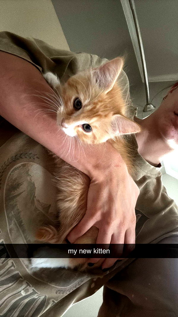 mckinley_1 image ~ Altpins