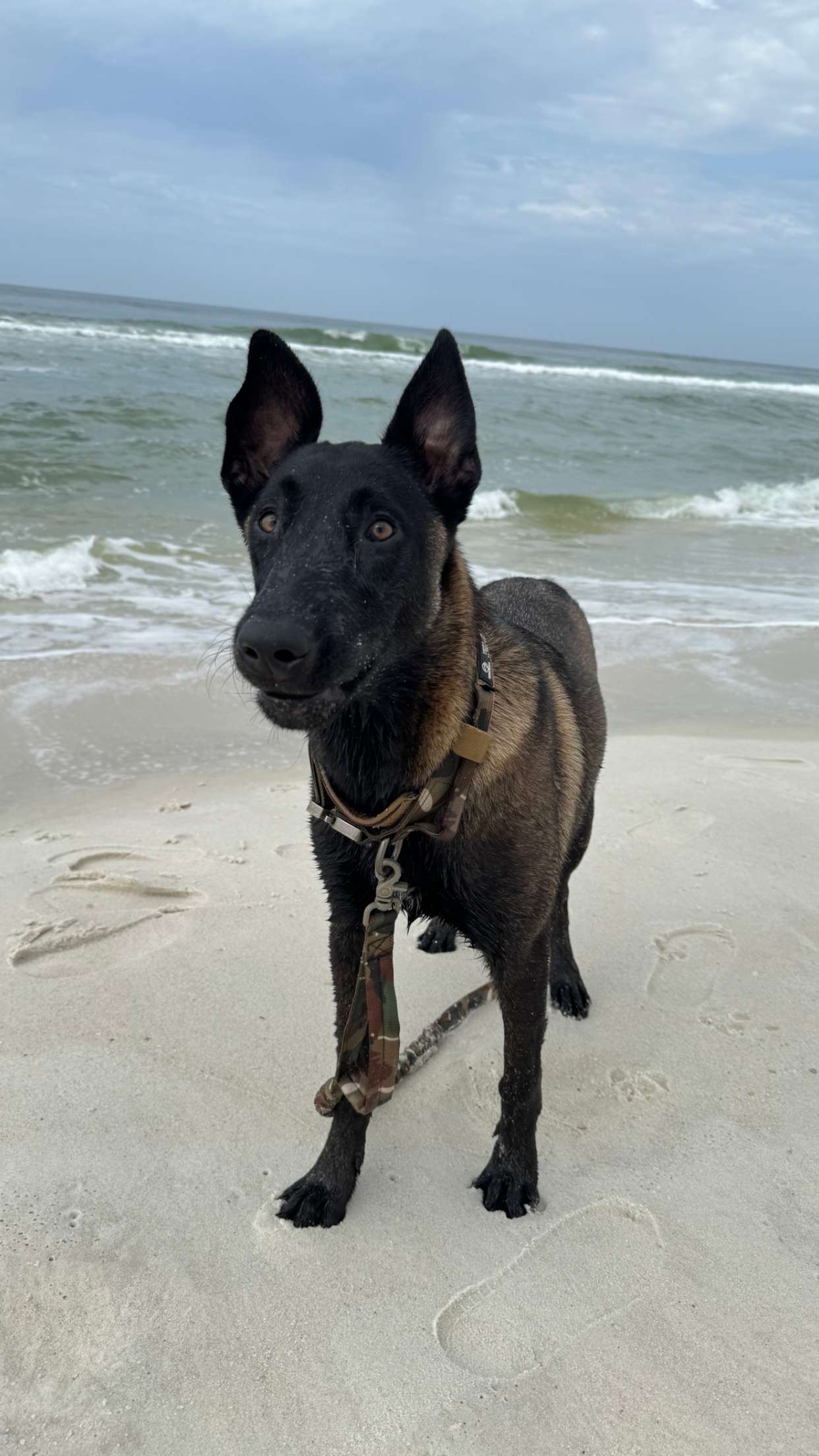 mckinley_1 snapchat image archive image