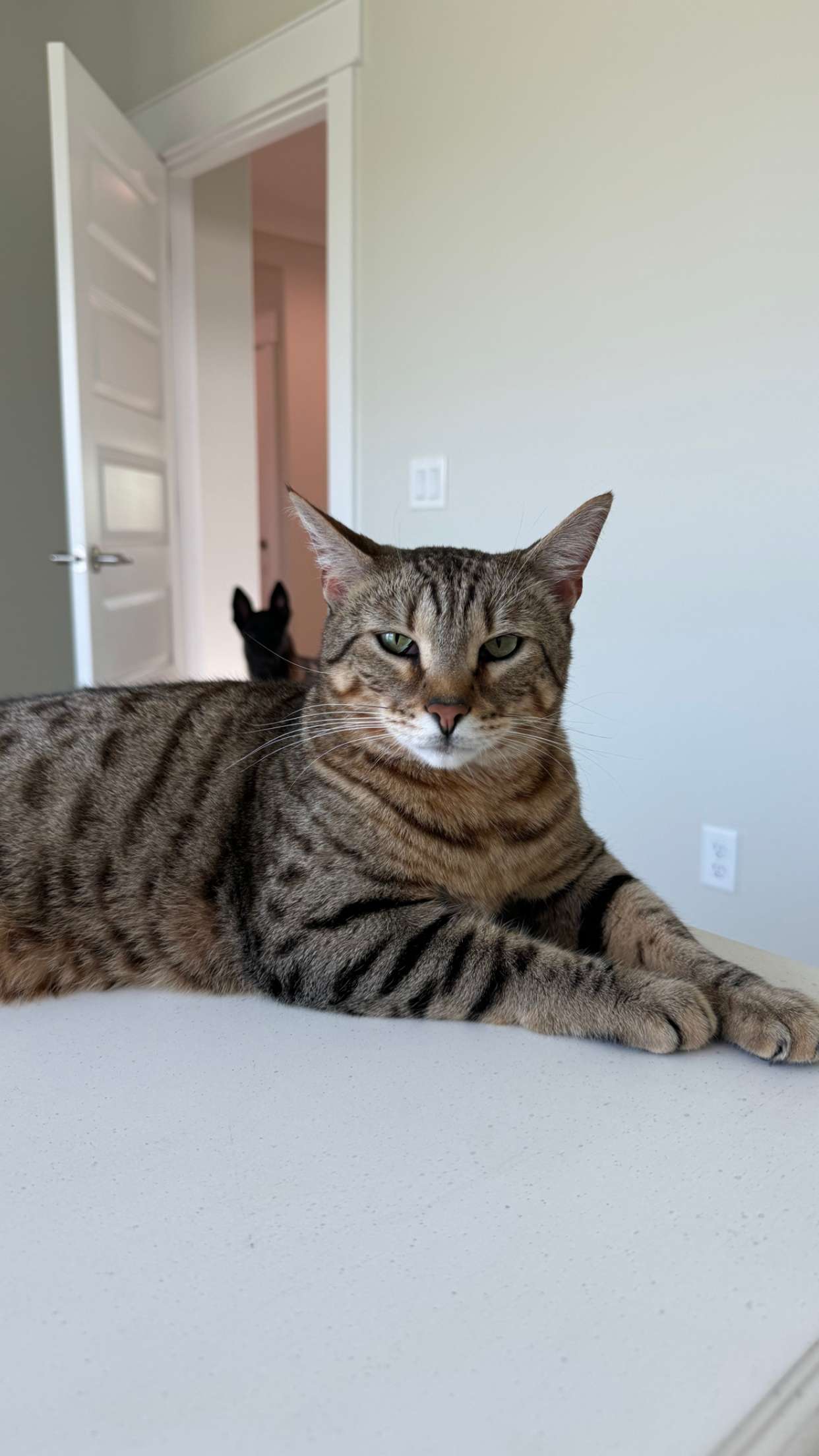 mckinley_1 snapchat image archive image