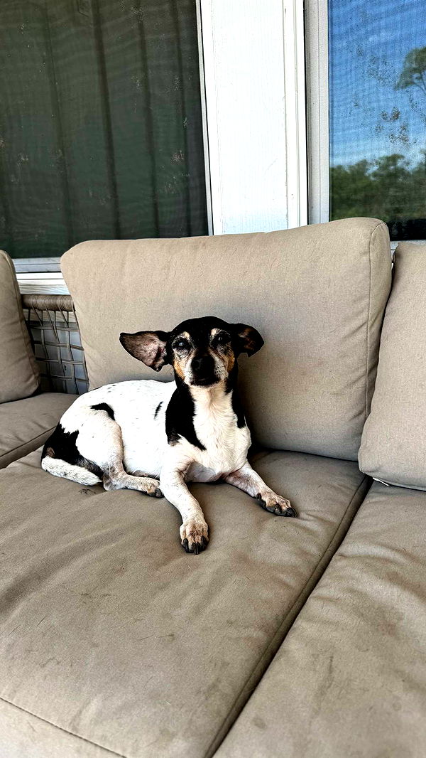 mckinley_1 image ~ Altpins