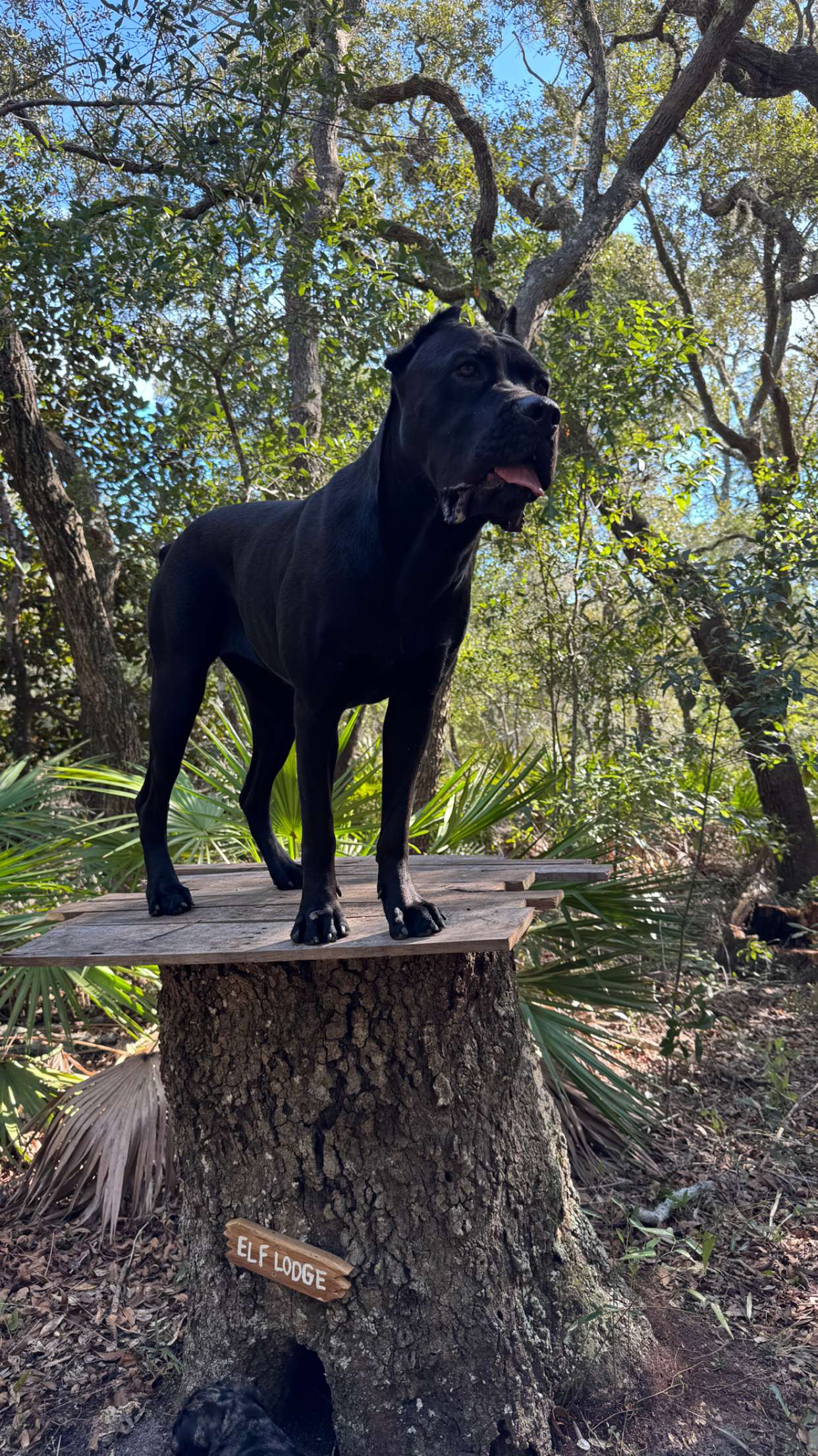 mckinley_1 snapchat image archive image