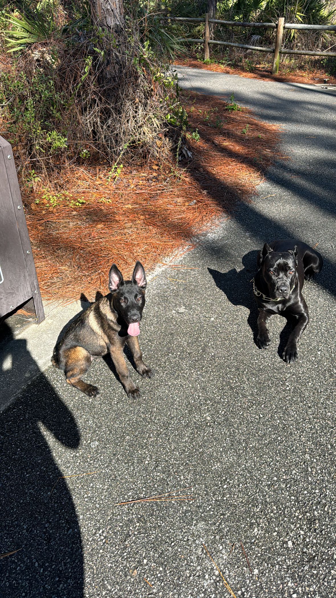 mckinley_1 snapchat image archive image