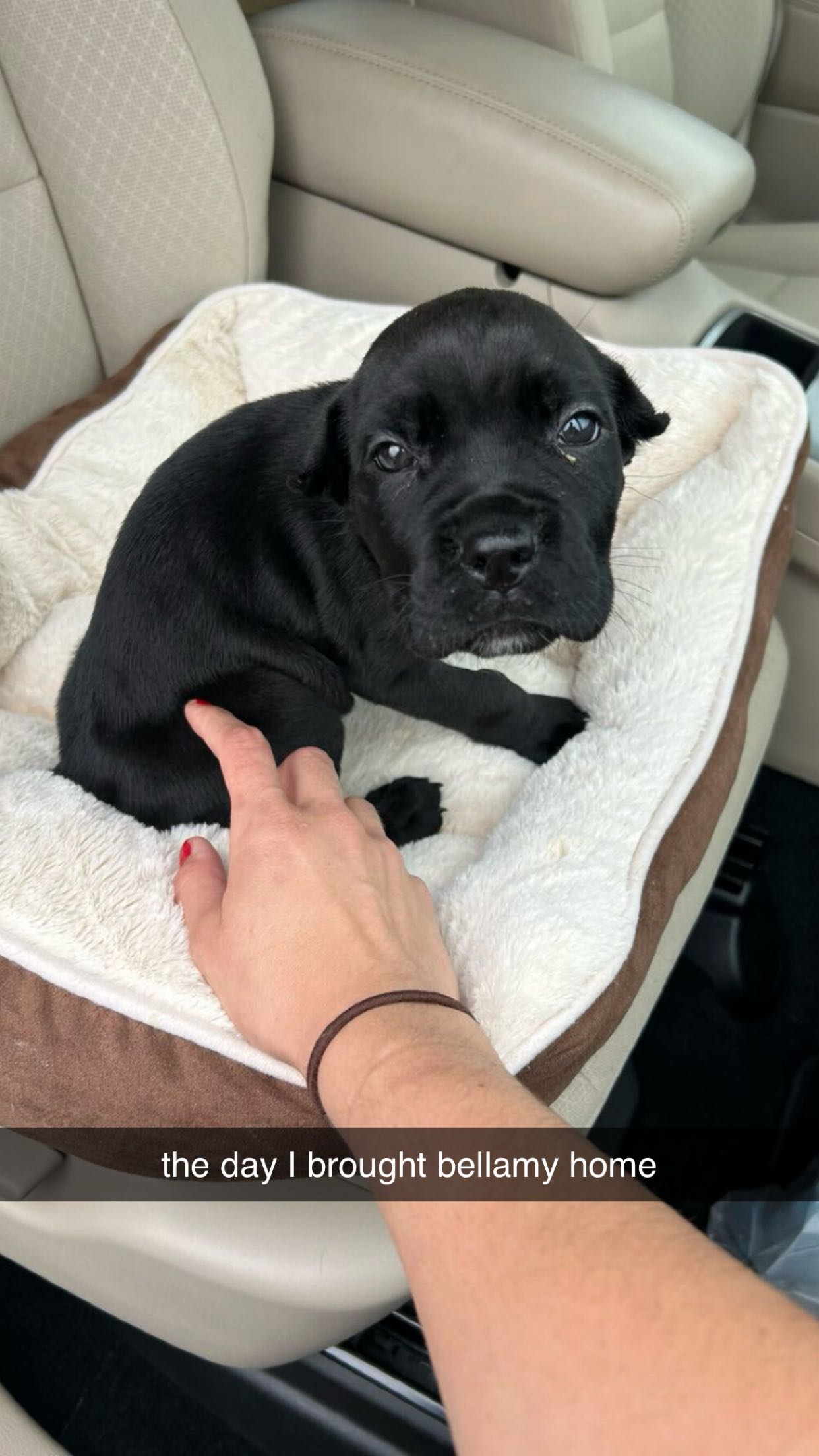 mckinley_1 snapchat image archive image