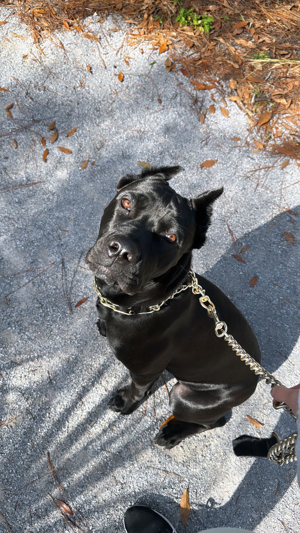 mckinley_1 snapchat image archive image