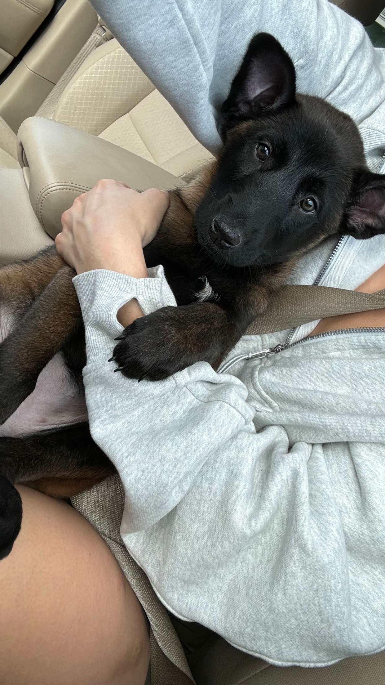 mckinley_1 snapchat image archive image