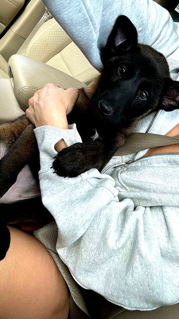 mckinley_1 image ~ Altpins