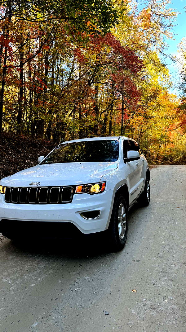 mckinley_1 image ~ Altpins