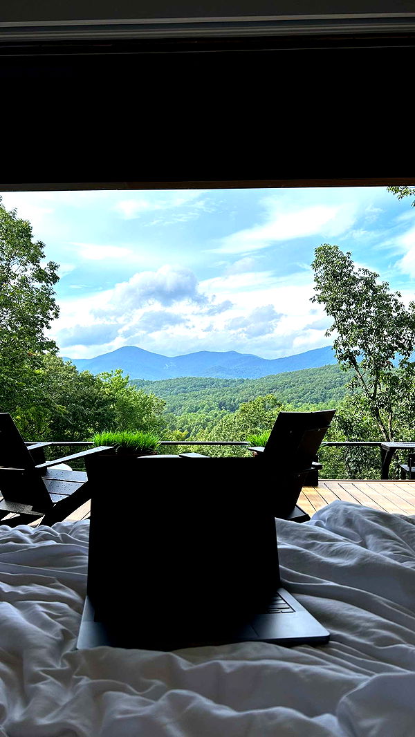 mckinley_1 image ~ Altpins