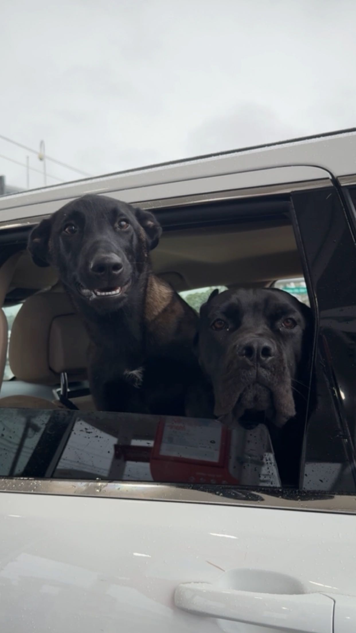 mckinley_1 snapchat image archive image