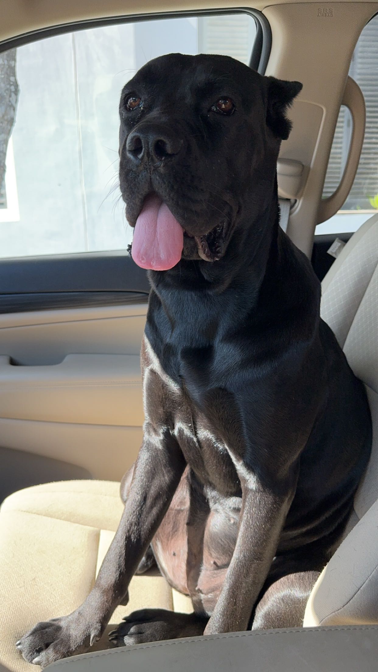 mckinley_1 snapchat image archive image