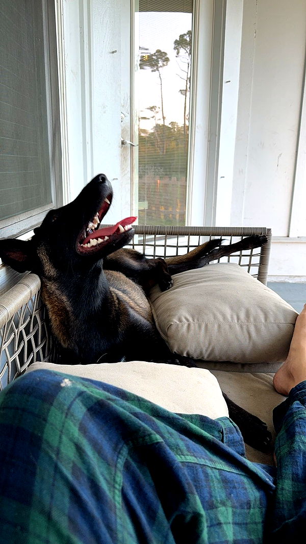 mckinley_1 image ~ Altpins