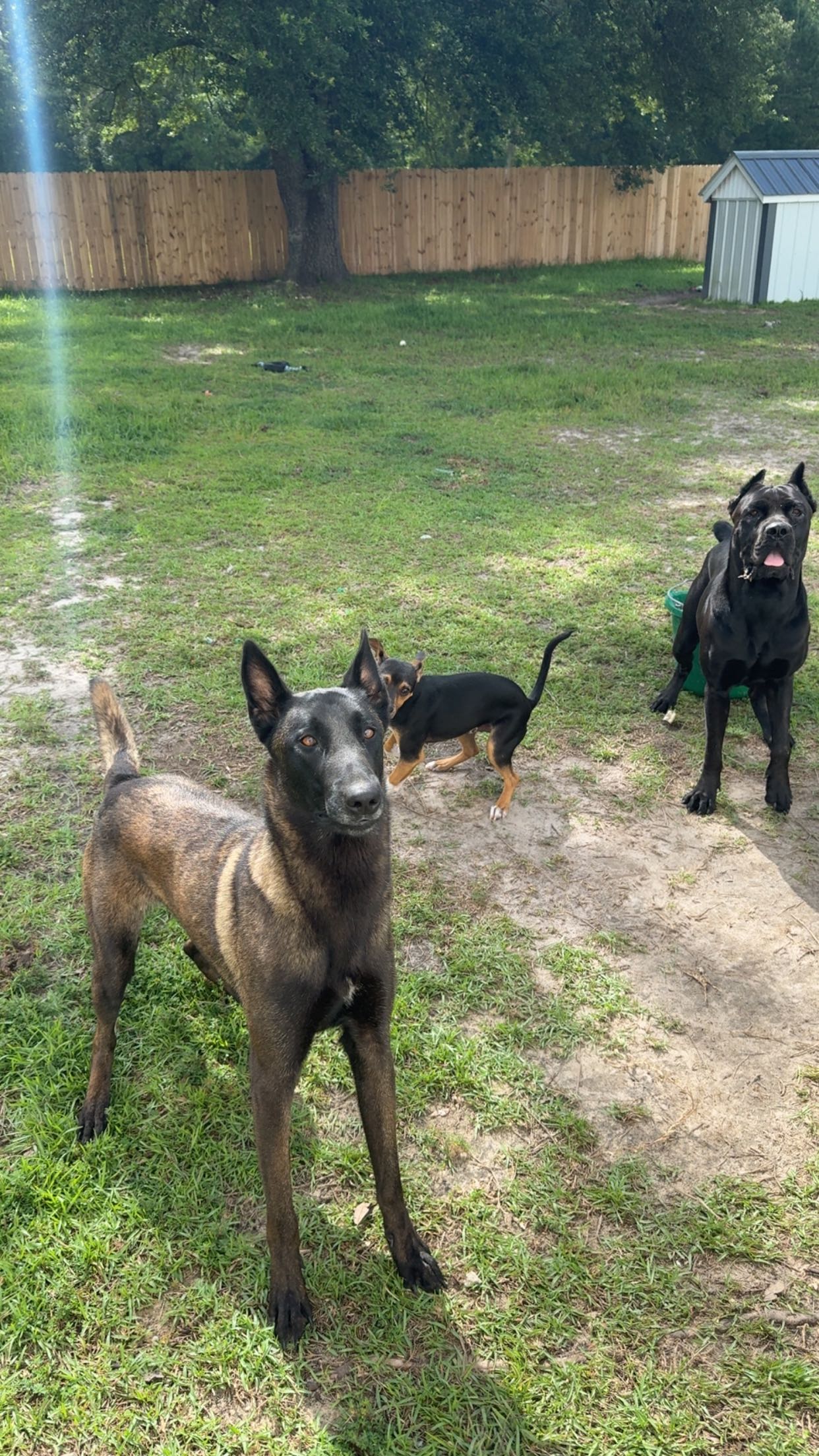 mckinley_1 snapchat image archive image