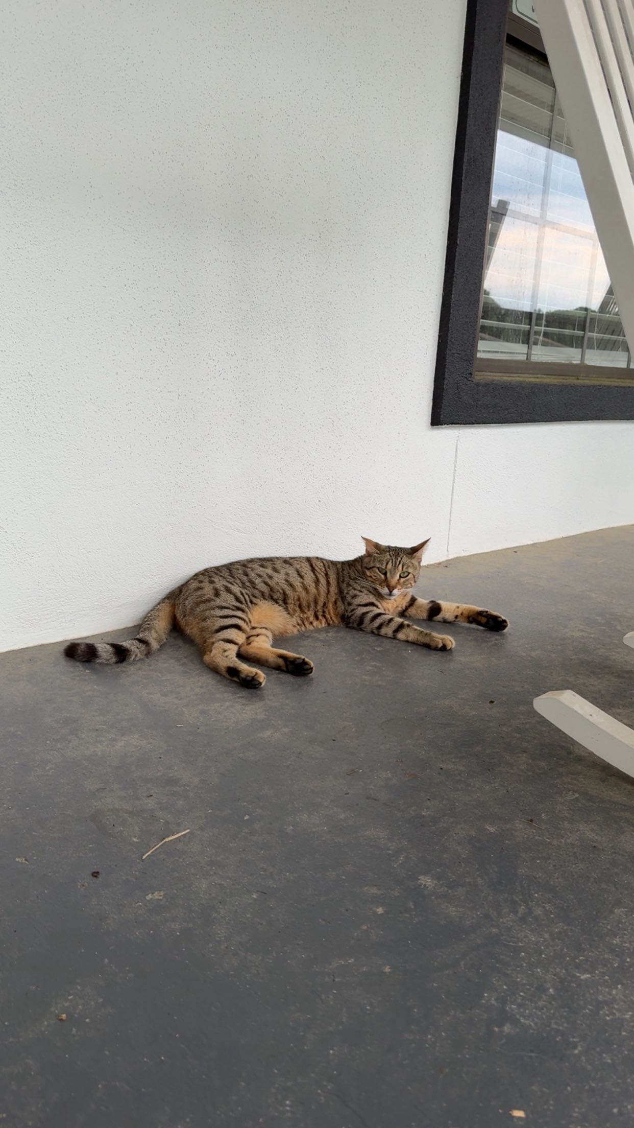 mckinley_1 snapchat image archive image