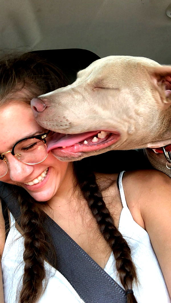 mckinley_1 image ~ Altpins