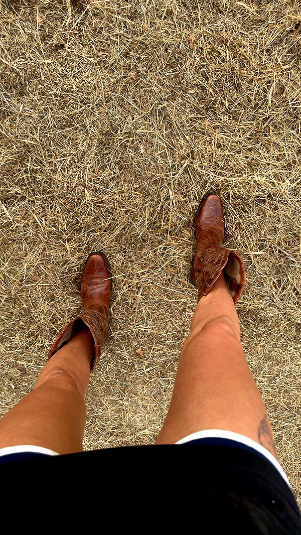 mckinley_1 image ~ Altpins