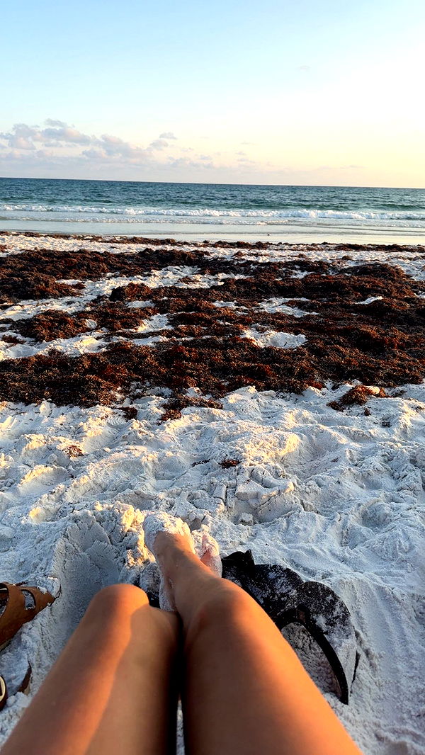 mckinley_1 image ~ Altpins