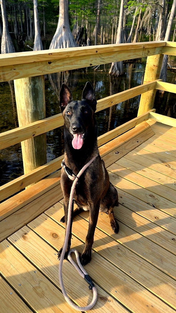 mckinley_1 image ~ Altpins