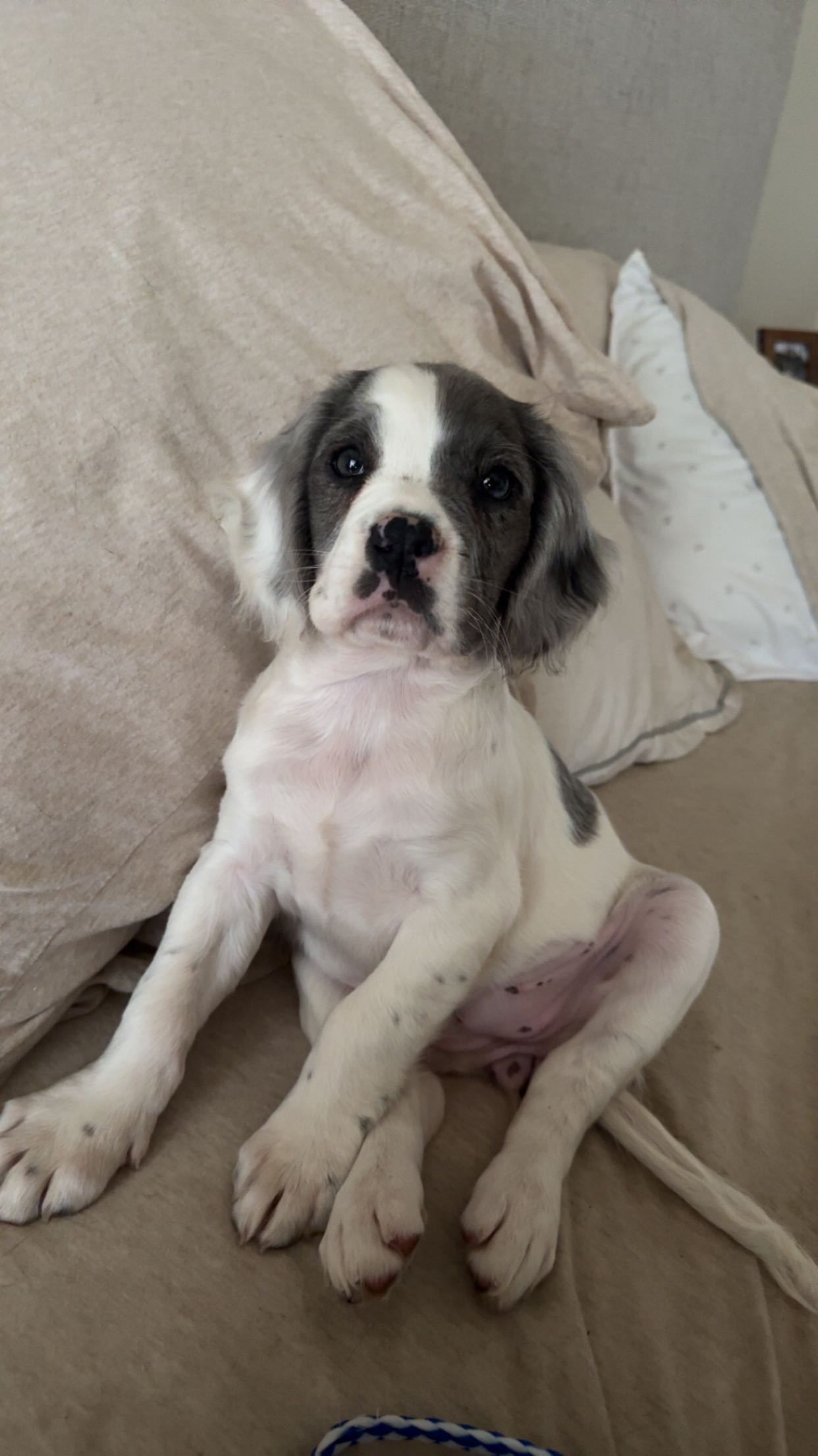 mckinley_1 snapchat image archive image