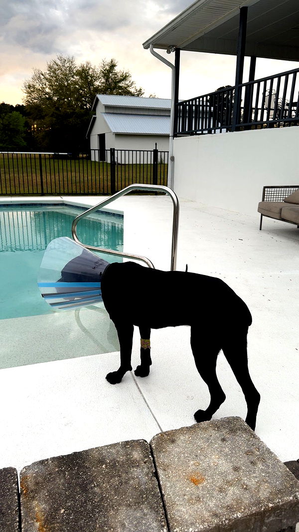 mckinley_1 image ~ Altpins