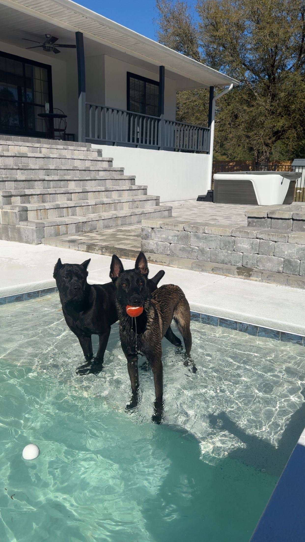 mckinley_1 snapchat image archive image