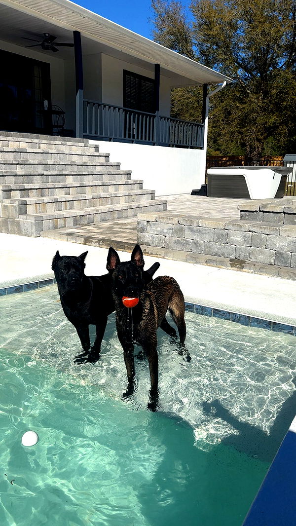 mckinley_1 image ~ Altpins