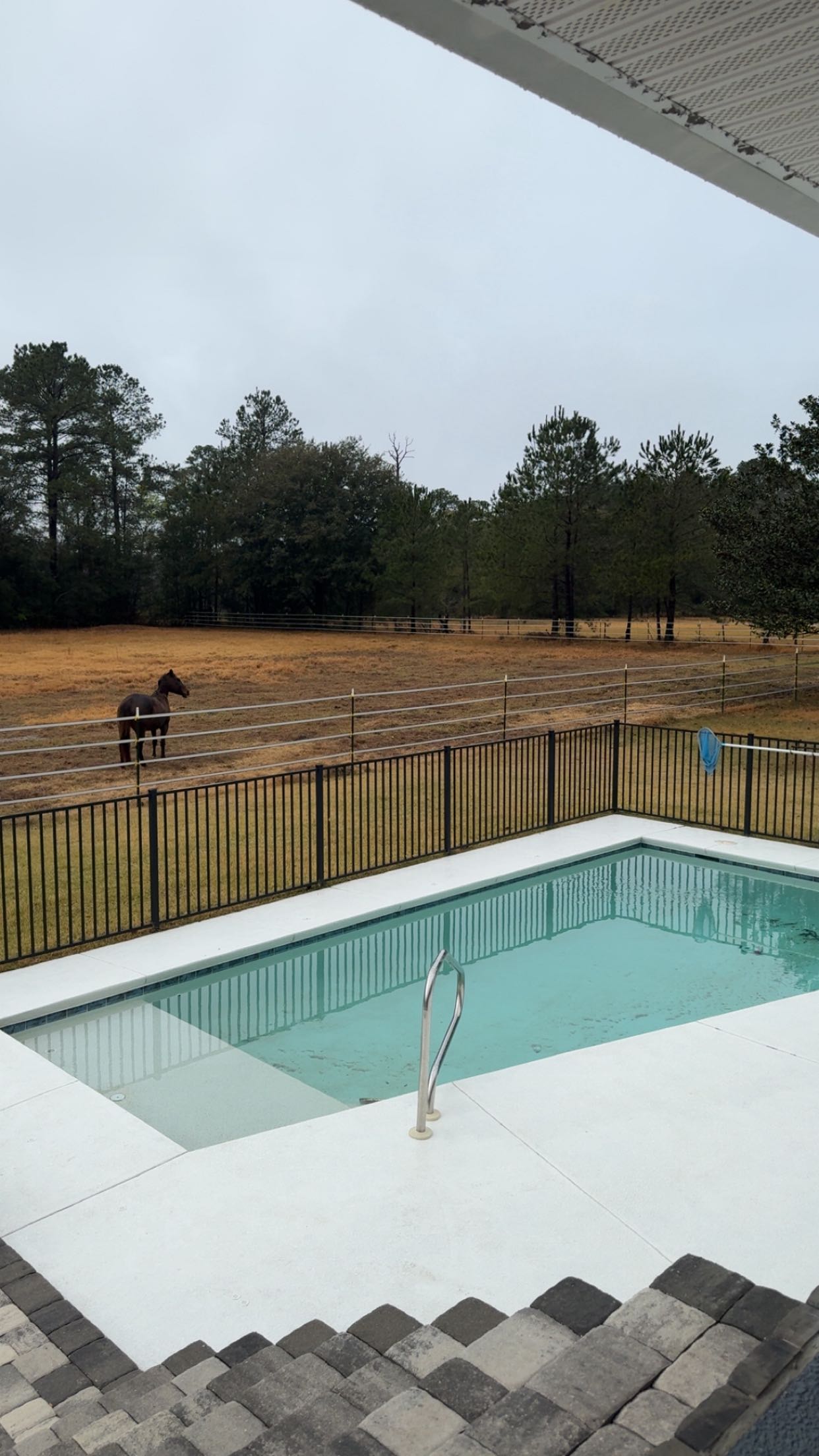 mckinley_1 snapchat image archive image