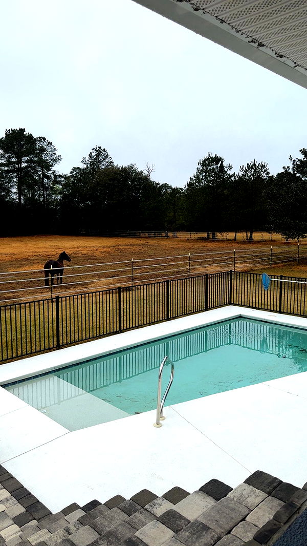 mckinley_1 image ~ Altpins