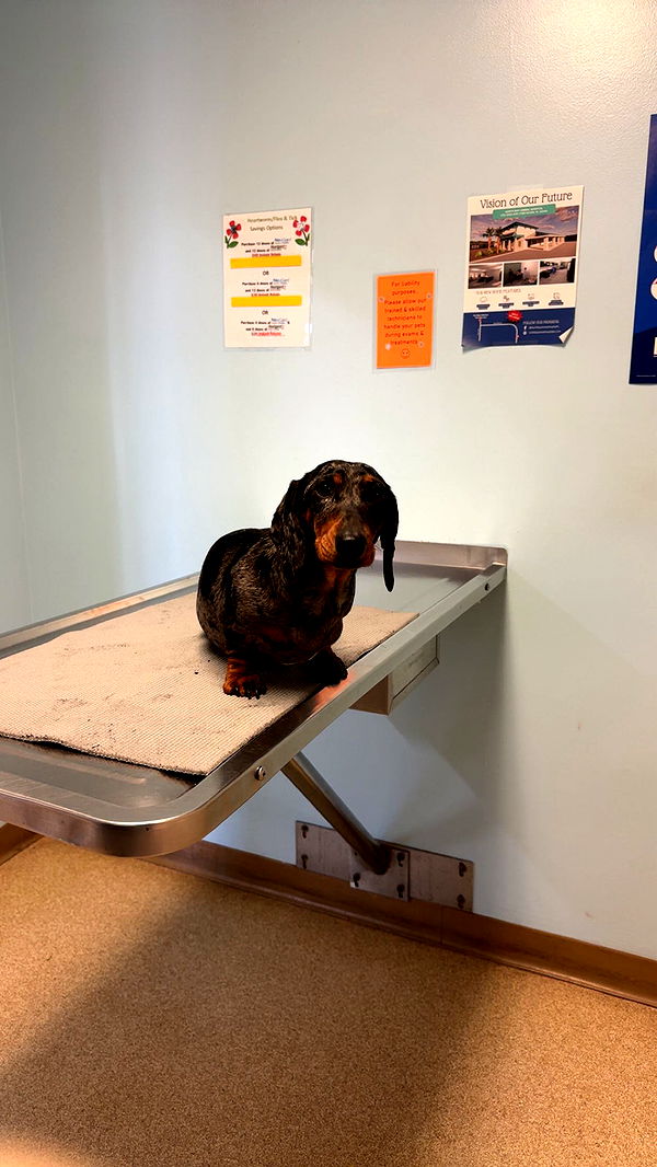 mckinley_1 image ~ Altpins