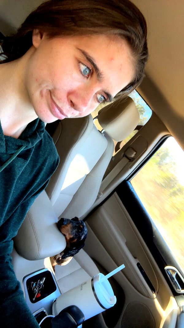 mckinley_1 image ~ Altpins