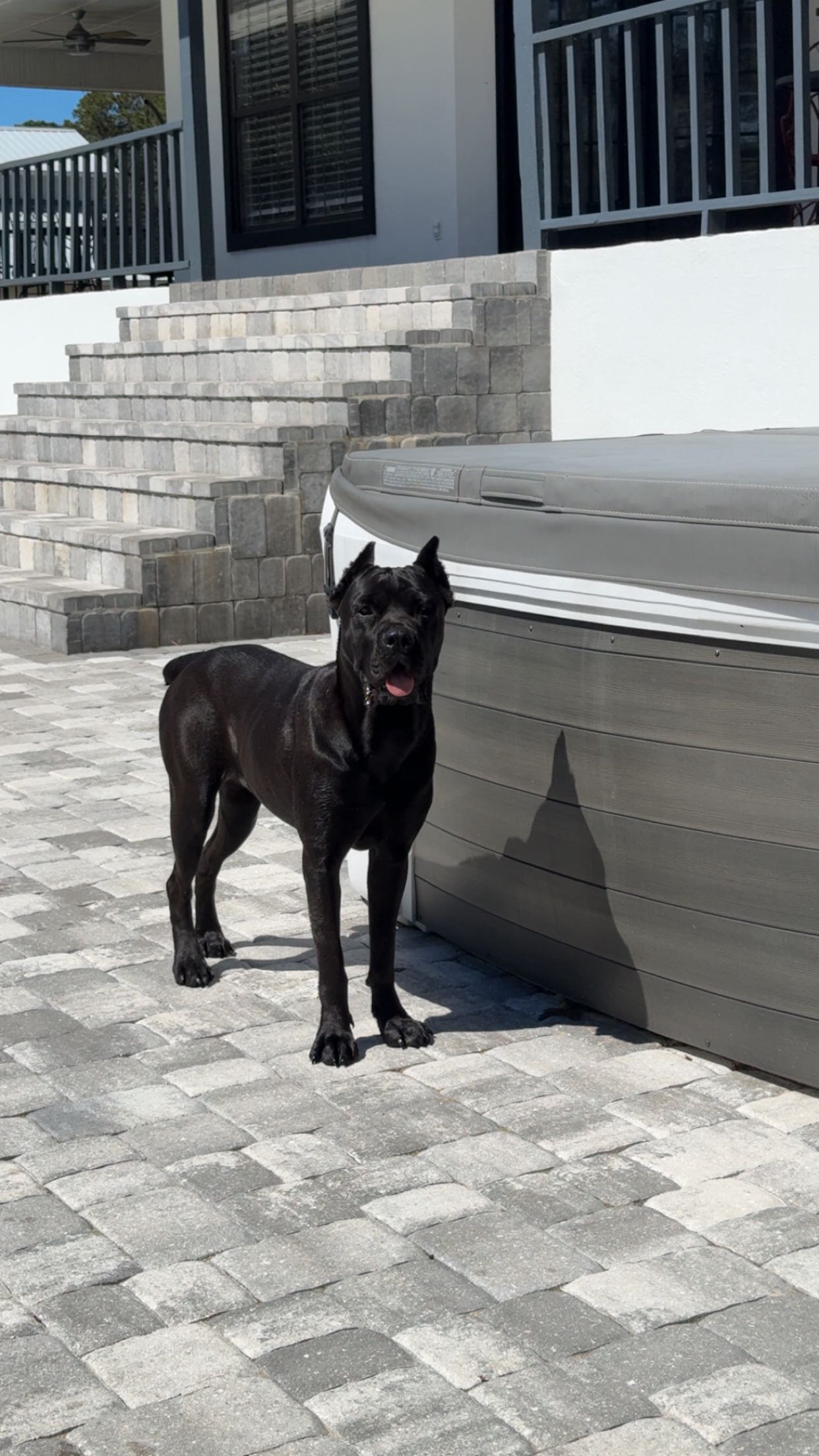 mckinley_1 snapchat image archive image