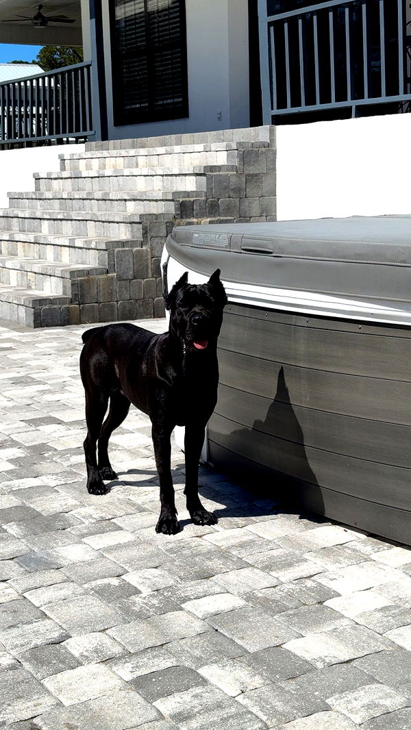 mckinley_1 image ~ Altpins