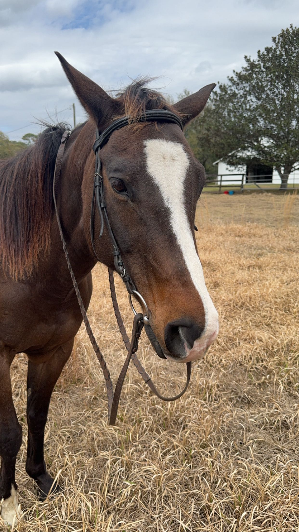 mckinley_1 snapchat image archive image