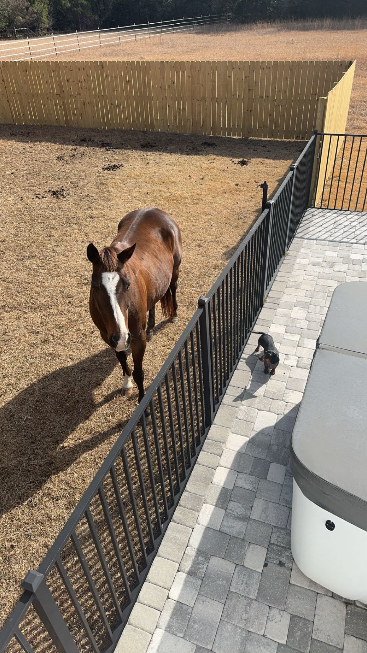 mckinley_1 snapchat image archive image