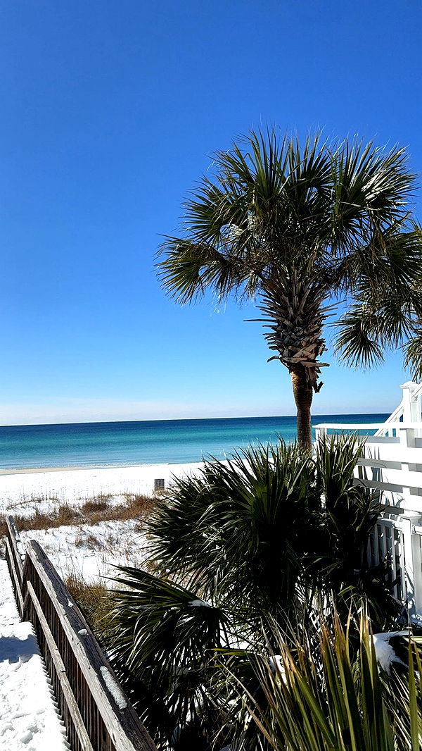 mckinley_1 image ~ Altpins