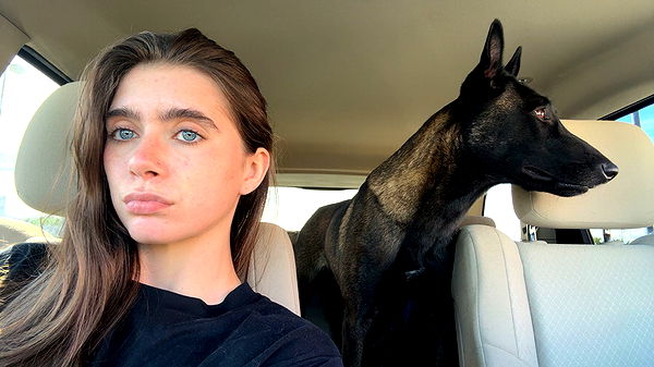 mckinley_1 image ~ Altpins