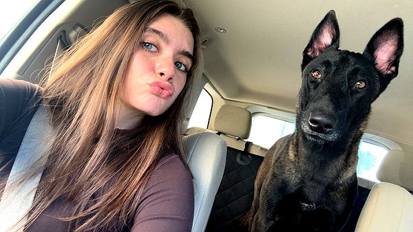 mckinley_1 image ~ Altpins