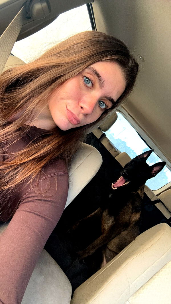 mckinley_1 image ~ Altpins